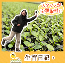 生育日記