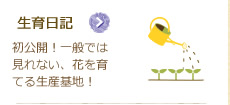 生育日記