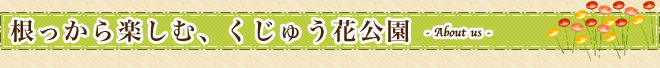 根っから楽しむ、くじゅう花公園