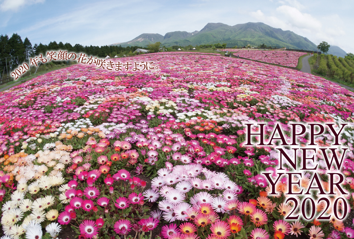 年も笑顔の花が咲きますように くじゅう花公園