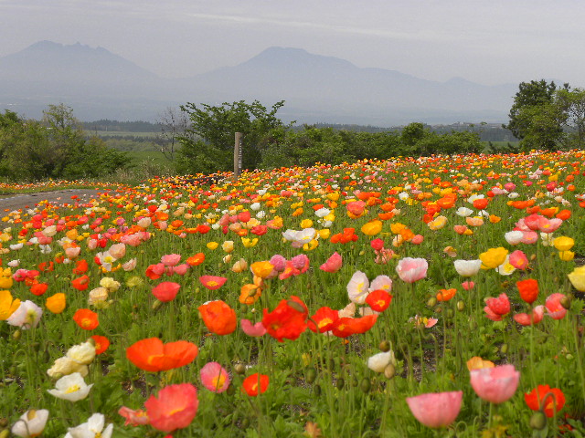 DSCN9384.JPG