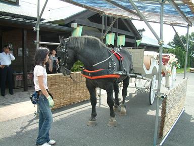 abrg0727-4.JPG