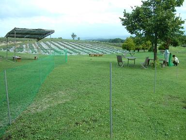 abrg0812-5.JPG