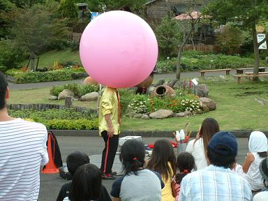 abrg0813-3.JPG