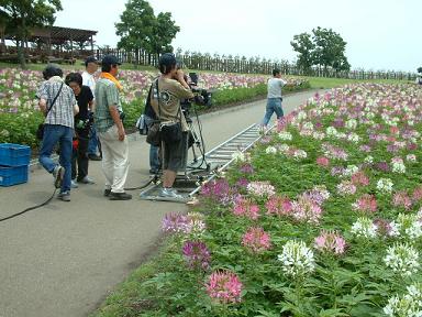abrg0925-9.JPG