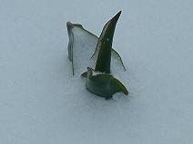 brg0314-3.JPG