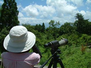brg0719-4.JPG