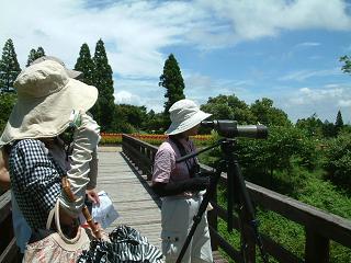 brg0719-5.JPG