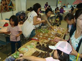 brog0807-3.JPG