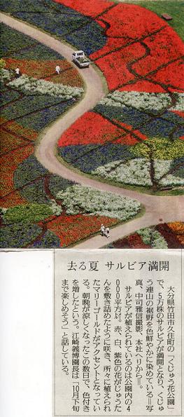 dbrg0908.JPG