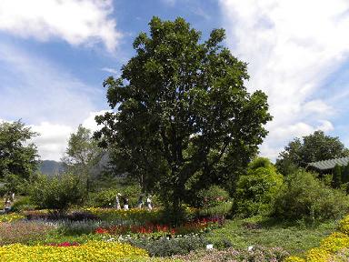 ebg-0909-3.JPG