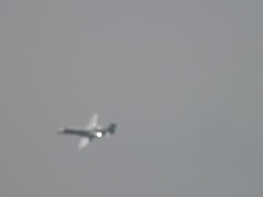 ebrg0516-1.JPG