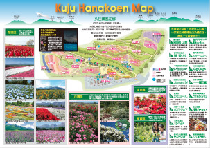 パンフレットPDF(裏面)