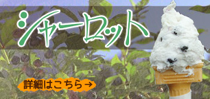 シャーロット