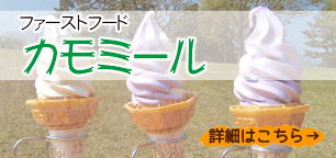 カモミール