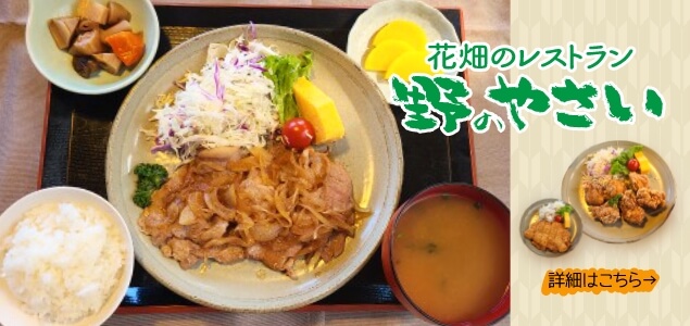 花畑のレストラン「野のやさい」