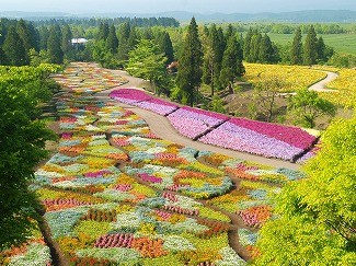春彩の畑
