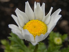 DSCN7304