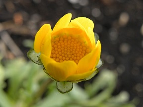 DSCN7306