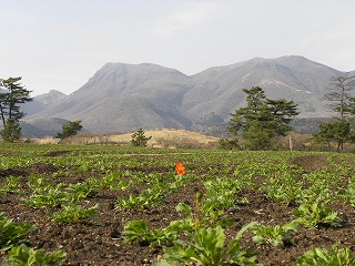 DSCN7391
