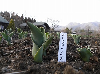 s-DSCN7001