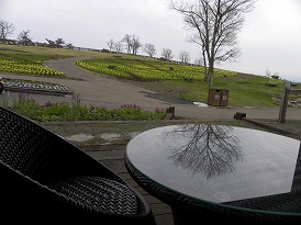 DSCN7937