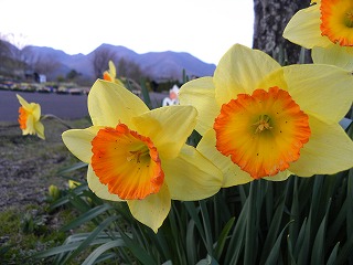 DSCN8067