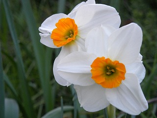 DSCN8073