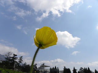 DSCN8252