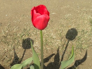 DSCN8903