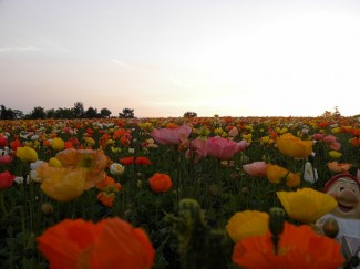 DSCN9429
