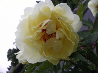 DSCN9438