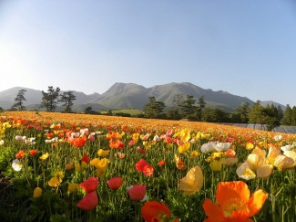 DSCN9448