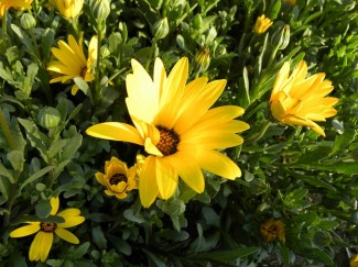 DSCN9459