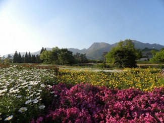 DSCN9466
