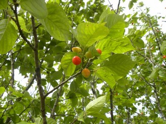 DSCN9536