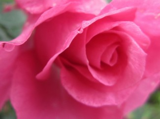 IMG_0977