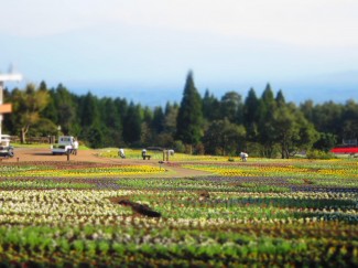 IMG_2864