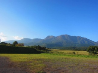 IMG_2894