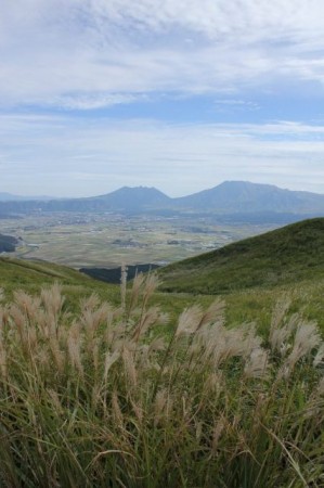 IMG_5186