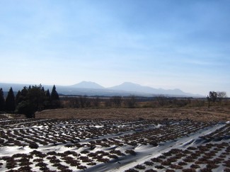 IMG_5798