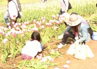 KIMG0612