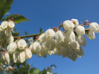 IMG_9025