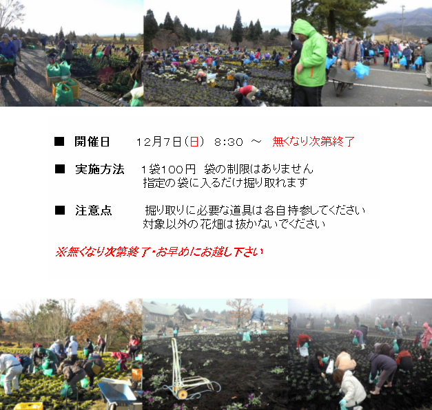 掘り取り