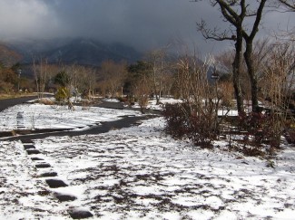 IMG_2117