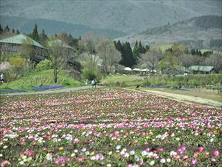 DSC_0637_R_R