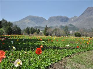 DSC_0657_R_R