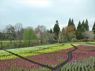 DSC_0768_R