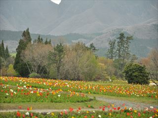 DSC_0789_R