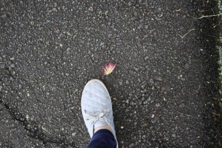 IMG_3898